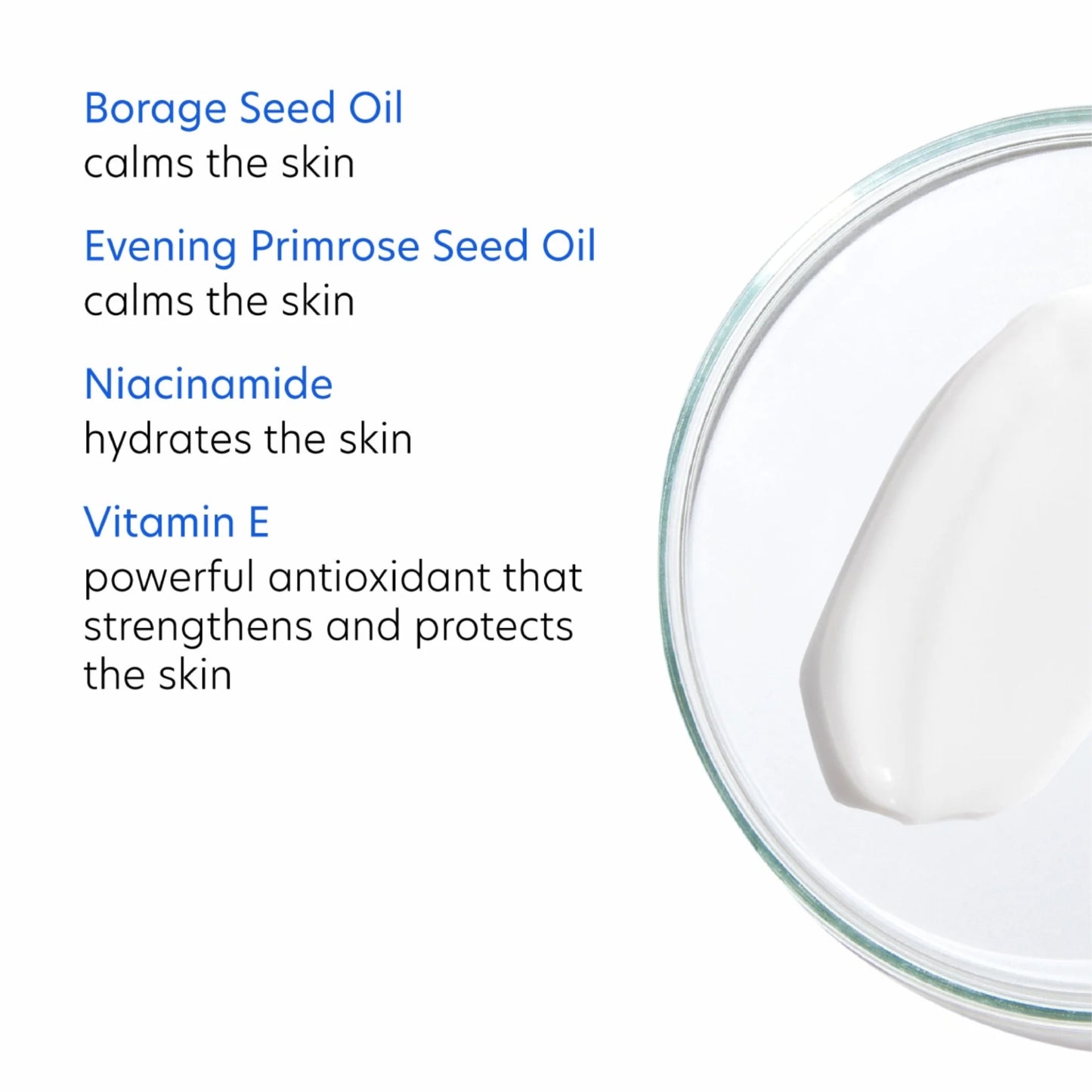 REBALANCE 48G $69